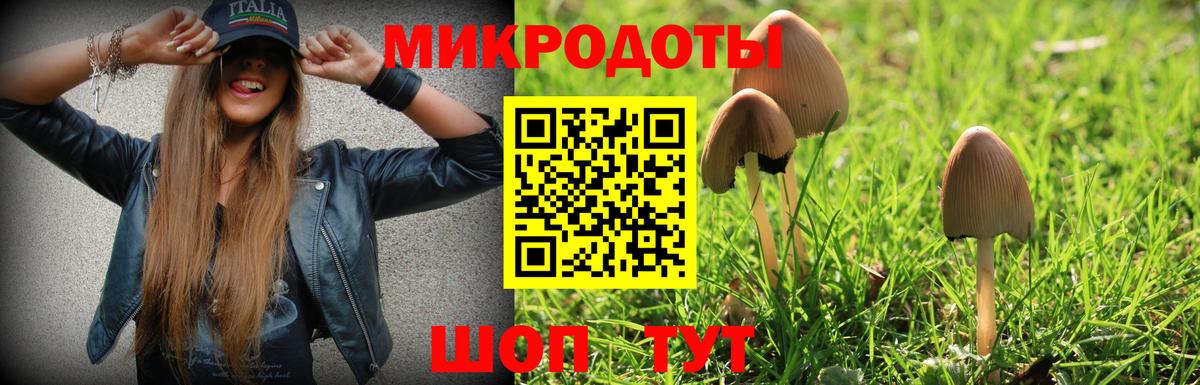Галлюциногенные грибы Psilocybe Ярцево